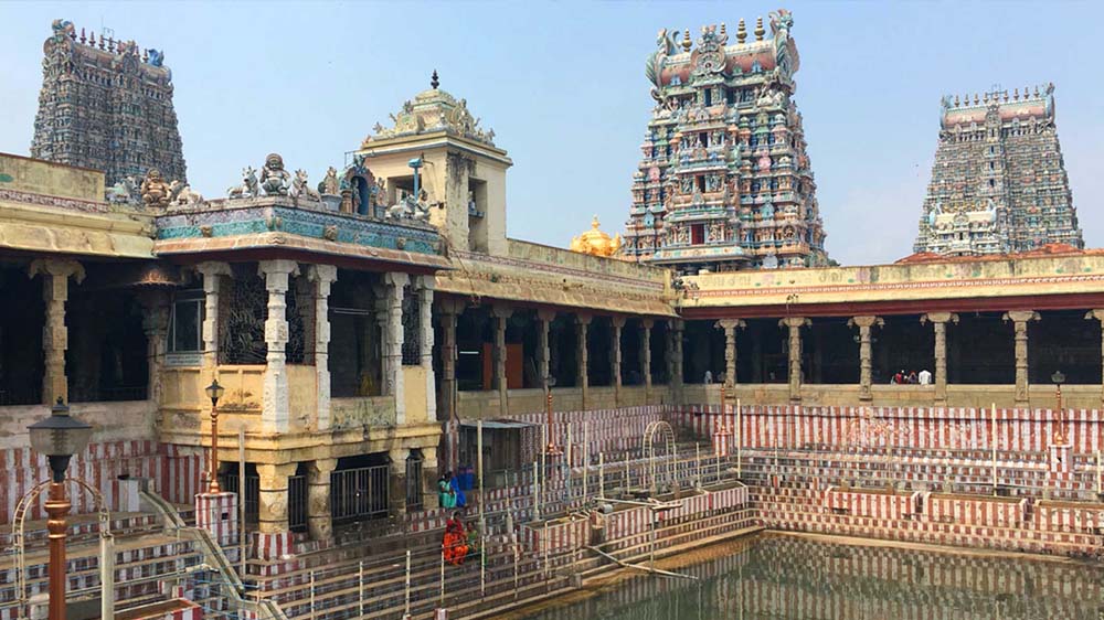 The Author in India: on my first visit to Tamil Nadu, to research my new wellness novel, pretty much only the temples were pleasant. 